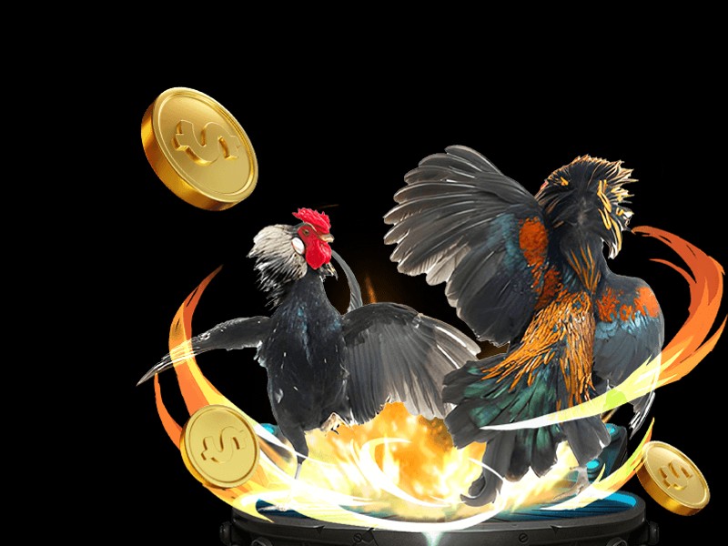 Đá gà cựa dao u888 vip